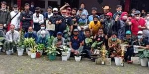 Astathi Kembali Gelar Kontes Tanaman Hias Di Puncak Bogor