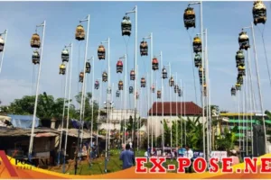 Dau Bird Farm Juara Pertama Di Piala Latber P3SI ( Persatuan Pelestari Perkutut Seluruh Indonesia )