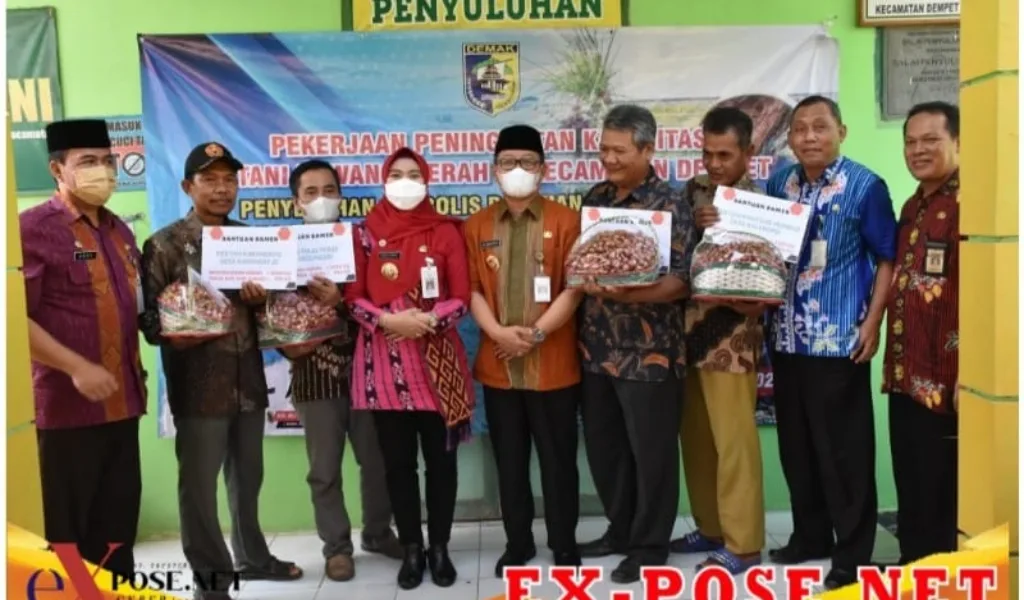 Petani Bawang Merah Di Dempet Kabupaten Demak Terima Bantuan Bibit Dan Pupuk