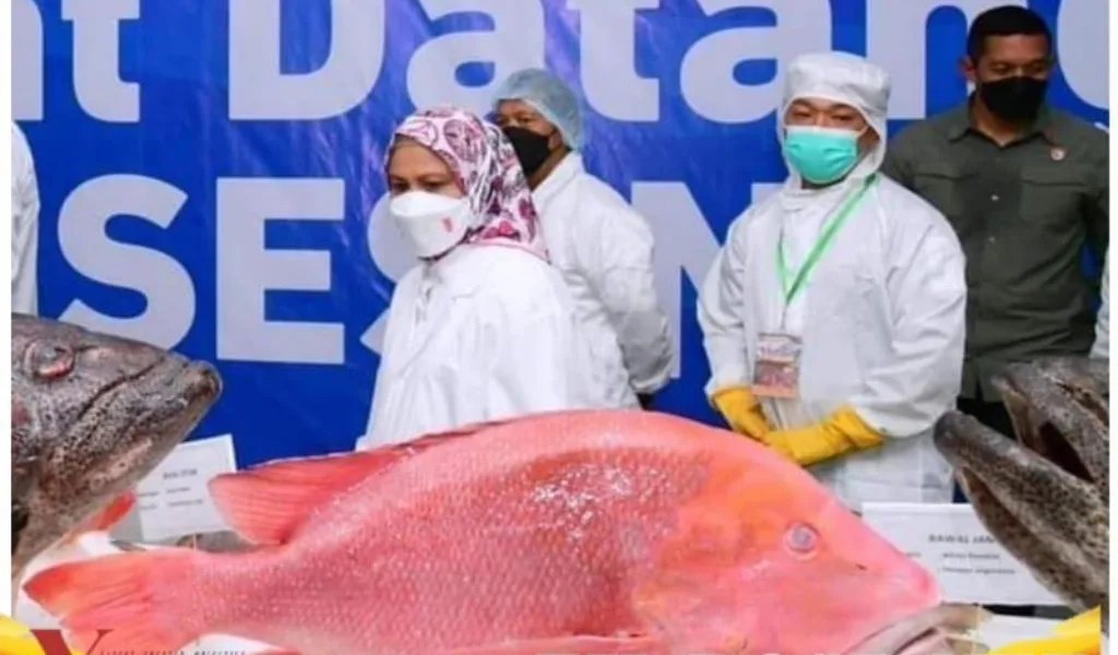 Presiden RI Jokowi Tinjau Unit Pengolahan Budidaya Rumput Laut dan Ikan di Provinsi Maluku