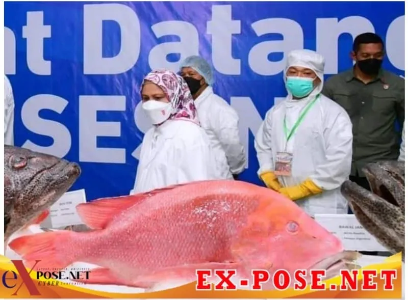 Budidaya Rumput Laut dan Ikan