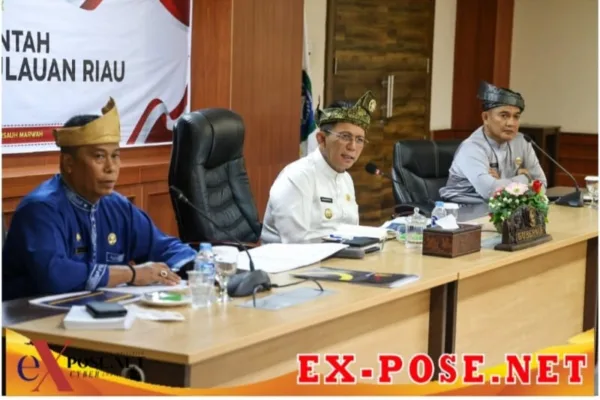 Capaian Realisasi APBD