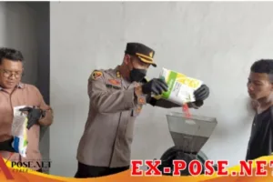 Pelanggaran Merek Syngenta