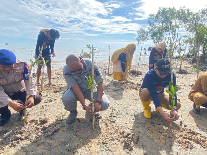 Tanam 300 Batang Mangrove