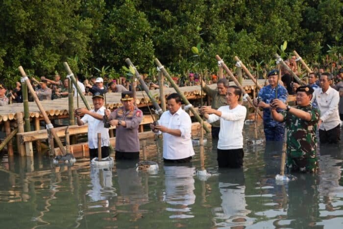 Mabes TNI Raih Rekor Muri,Tanam Mangrove Secara Serentak