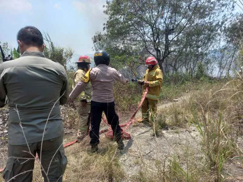 Api Bakar Lahan Kosong