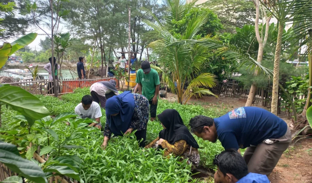 Sudin KPKP Kepulauan Seribu Panen, Warga Pulau Tidung Ucapkan Terima Kasih