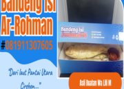 Ikan Bandeng Isi Ar rohmanBaru