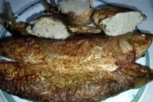 FSP KEP Kabupaten Bogor Gelar Pendidikan Organisasi