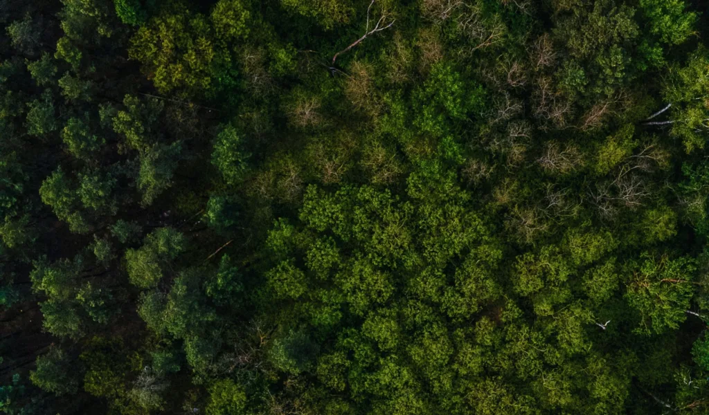 Banjir Jakarta, Depok, dan Bekasi Kiriman dari Bogor ?