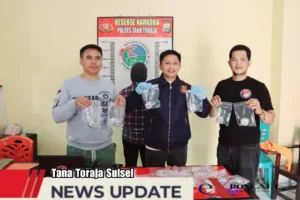 Gebrakan Kapolres Tator AKBP Budi Hermawan, Berhasil Gagalkan Pengedaran Ganja Kering Seberat 1,2 Kg.