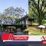 Taman Safari Jalur Hukum