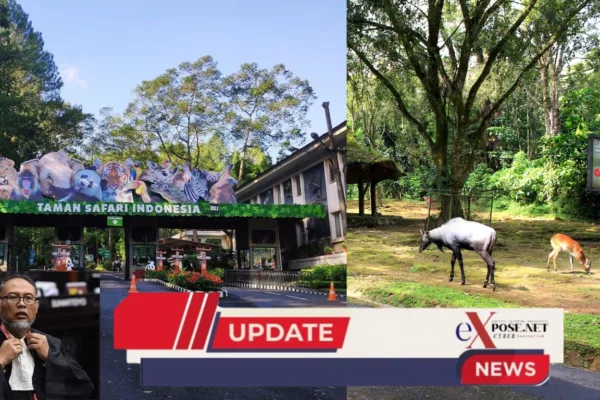 Taman Safari Jalur Hukum