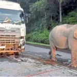 RSU Universitas Muhammadiyah