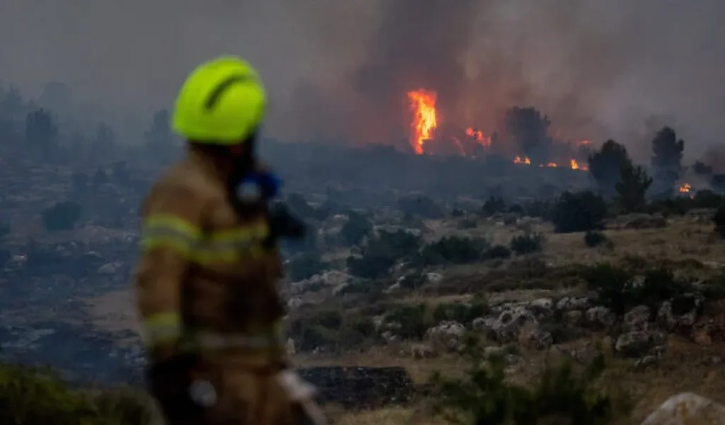 Israel Minta Bantuan Internasional Atasi Kebakaran Hutan