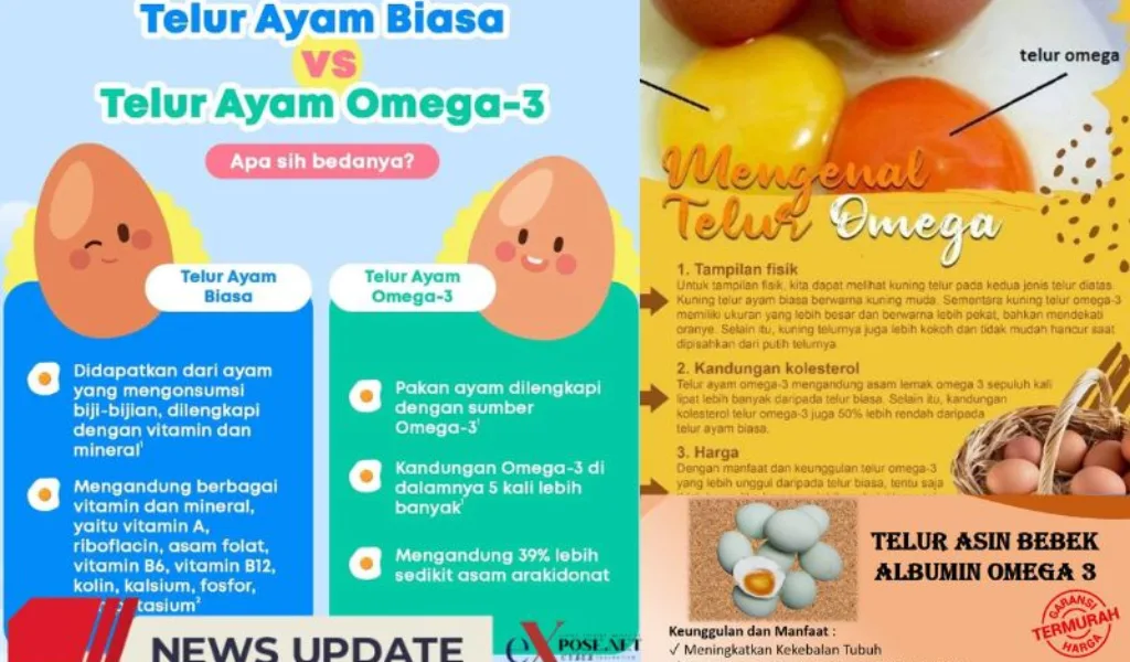 Telur Ayam Omega-3, Sumber Gizi Lengkap untuk Keluarga Indonesia