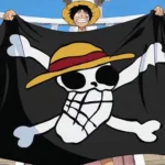 Makna Bendera One Piece