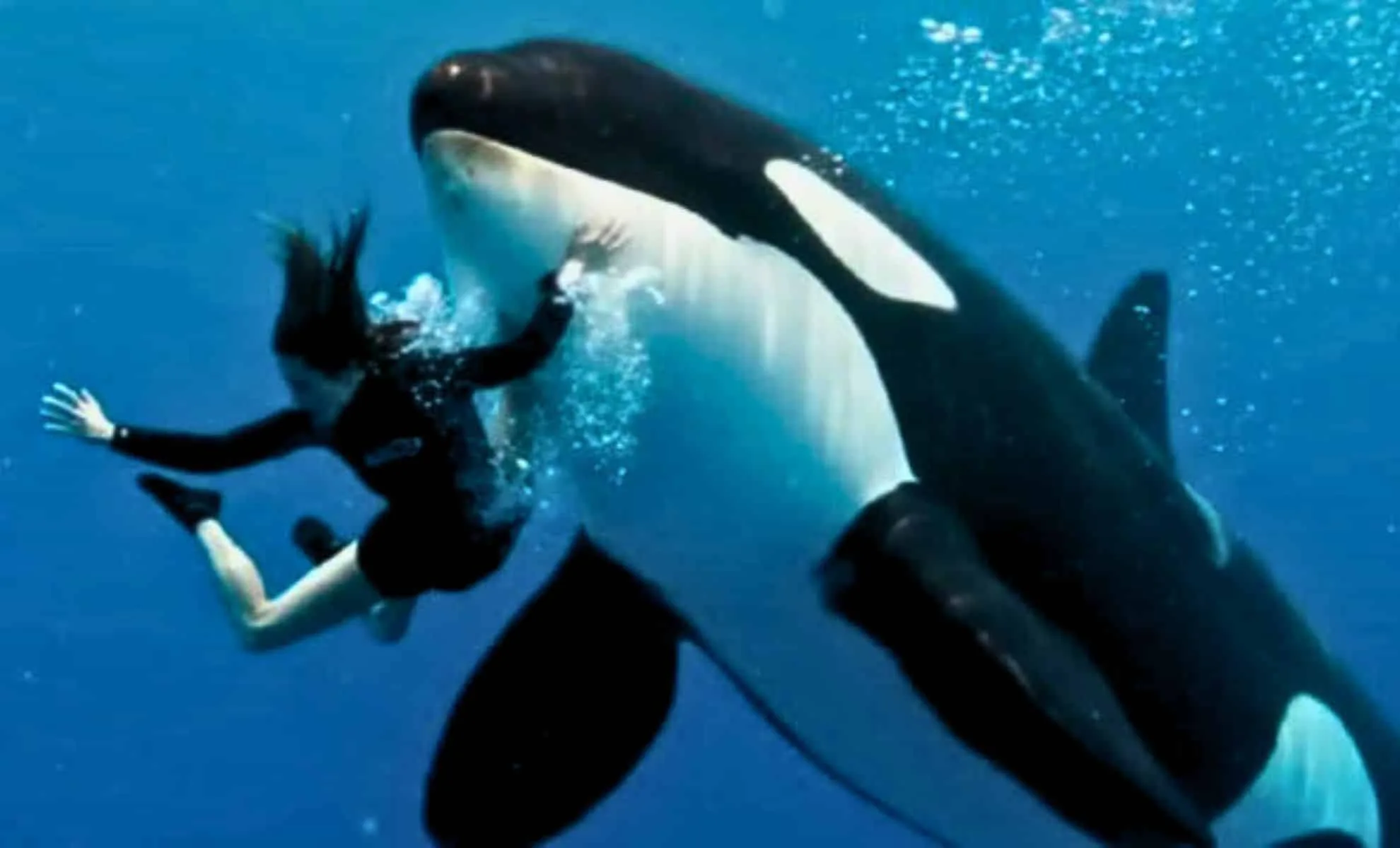 Pelatih Orca Jessica Radcliffe