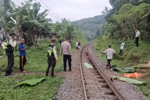 Polsek Cibatu Evakuasi Korban tertrmper K.A, Pejalan Kaki Meninggal Di Tempat