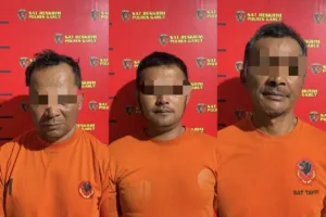 Satreskrim Polres Garut Amankan Tiga Pelaku Pengrusakan Kebun Teh Di Cikajang