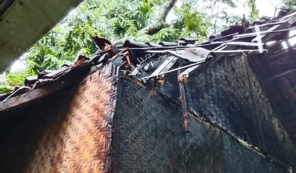 Angin Kencang Terjang Garut Selatan, Dahan Pohon Tumbang Menimpa Dua Rumah Warga