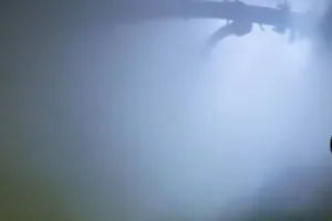 Tragedi IUP Antam, BPI KPNPA RI Desak Audit Keselamatan