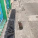 Ini Hak Jawab Kepsek SDN Cijujung 02 Sukaraja Soal Komite Sekolah Disorot