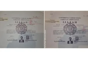 Pengamat Publik Terima Salinan Ijazah Jokowi Tanpa Sensor dari KPU RI