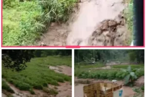 Banjir Bandang Terjang Sindang Daweung, Warga Minta Pemerintah Turun Tangan