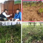 Humas Kebun Teh Cisaruni Minta Perlindungan, Soroti Dugaan Perusakan Lahan oleh Oknum