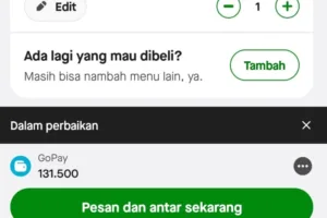 GoPay Error 20 Maret 2026, Transaksi Gojek Terganggu