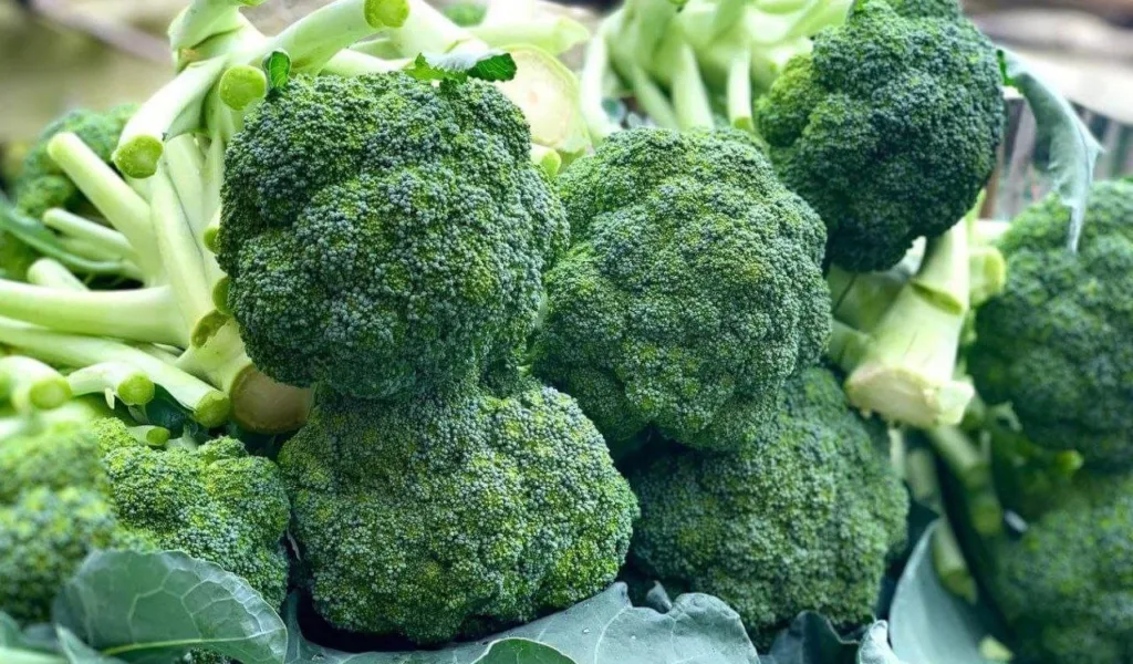 Tunggu 30 Menit Sebelum Memasak Brokoli, Ini Kata Penelitian