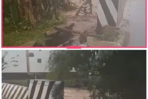 Hujan Deras Di Wilayah Kecamatan Malangbong, Air Sungai Meluap Hampir Ke Jalan