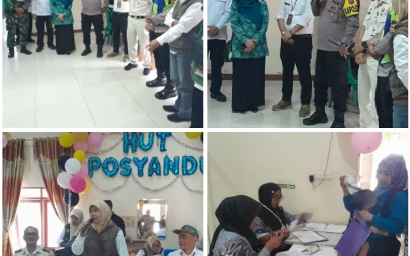 Posyandu Terintegrasi Serentak Digelar, Malangbong Jadikan Dua Desa Sebagai Percontohan