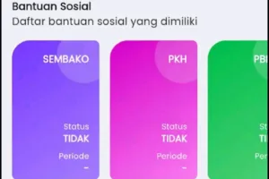 Aplikasi Cek Bansos, Masyarakat Kini Bisa Usul dan Sanggah Penerima