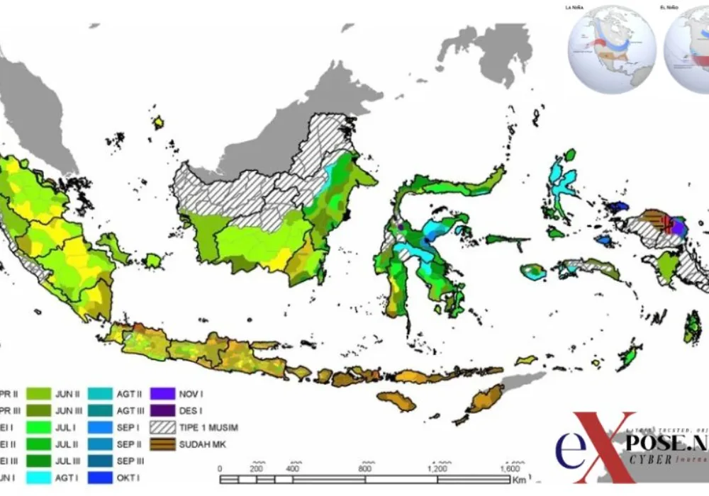 BMKG Wanti-Wanti El Nino 2026, Musim Kemarau Diprediksi Lebih Ekstrem