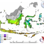 BMKG Wanti-Wanti El Nino 2026, Musim Kemarau Diprediksi Lebih Ekstrem
