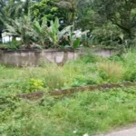 AMPERA Minta Pembangunan Tower BTS di Cimulang Dikaji Ulang