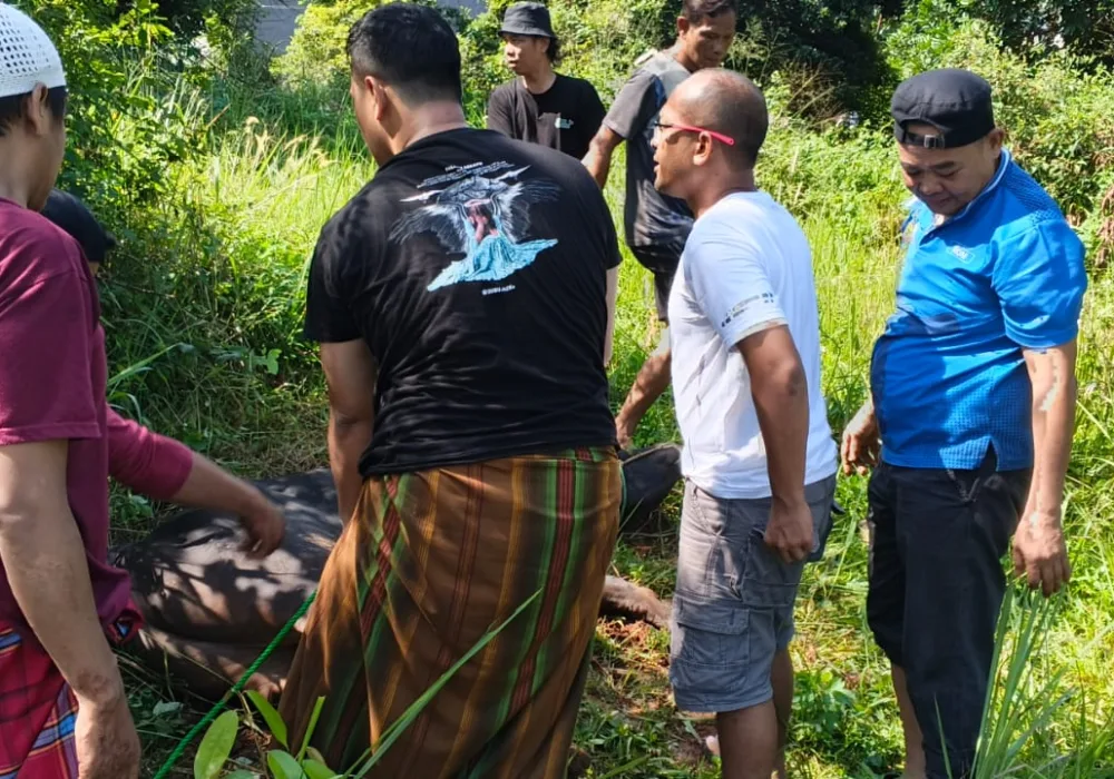 Sofwan Ali Sebut Bantuan Kurban Rudy Susmanto Perkuat Kebersamaan