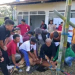 DPC Partai Gerindra Garut Salurkan 6 Ekor Sapi Kurban, Wujud Nyata Kepedulian kepada Masyarakat