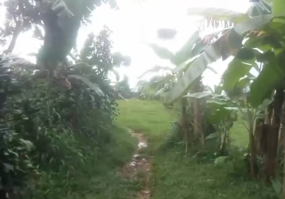 Warga Penggarap Sukajaya Soroti Peran Pemerintah Desa dalam Polemik PMC