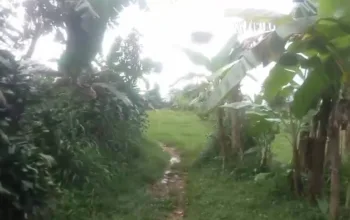 Warga Penggarap Sukajaya Soroti Peran Pemerintah Desa dalam Polemik PMC