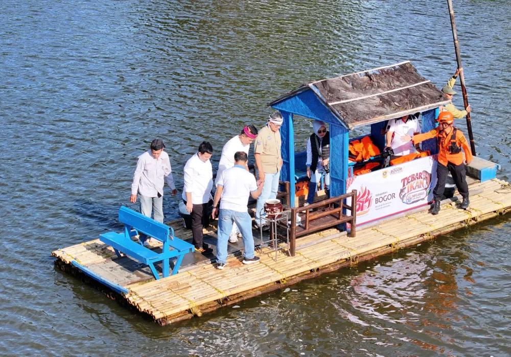 Pemkab Bogor Tebar 10.000 Ikan Lokal untuk Jaga Ekosistem Hulu Ciliwung