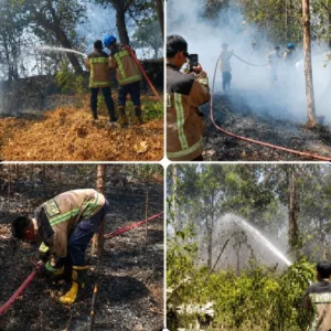 Kebakaran Lahan di Pameungpeuk Garut Meluas, 3.500 Meter Persegi Berhasil Dipadamkan