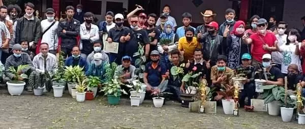 Astathi Kembali Gelar Kontes Tanaman Hias Di Puncak Bogor